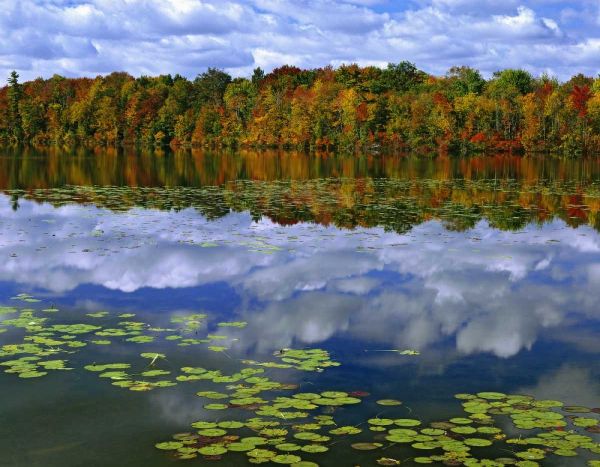 Canada, Ontario Park Haven Lake in autumn